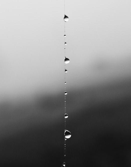 raindropstring