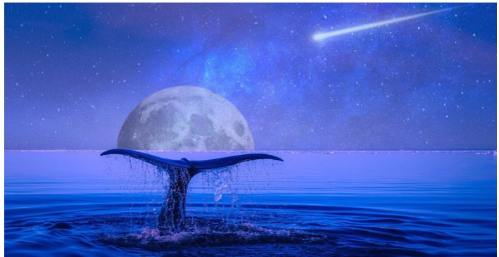 queenofwishfulthinking2